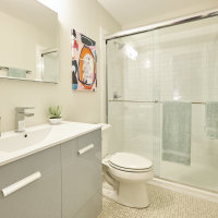 Mid-Century Remodel