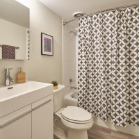 Mid-Century Remodel